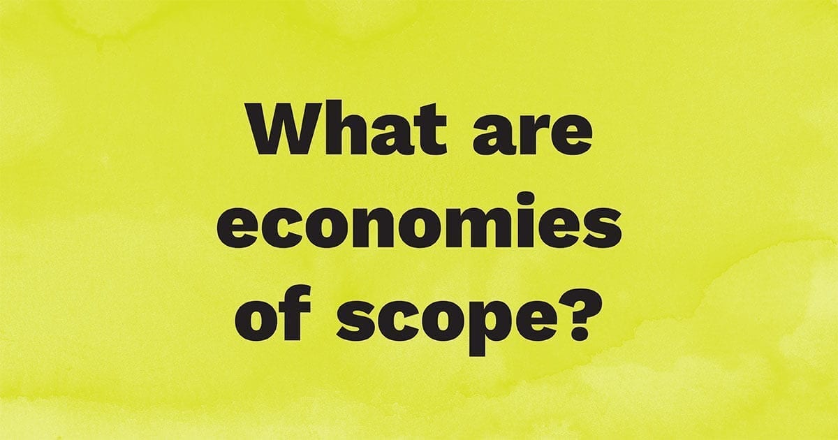 What are economies of scope?